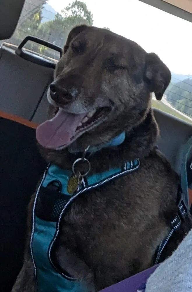 Cameron Aka Cammie thumbnail 5