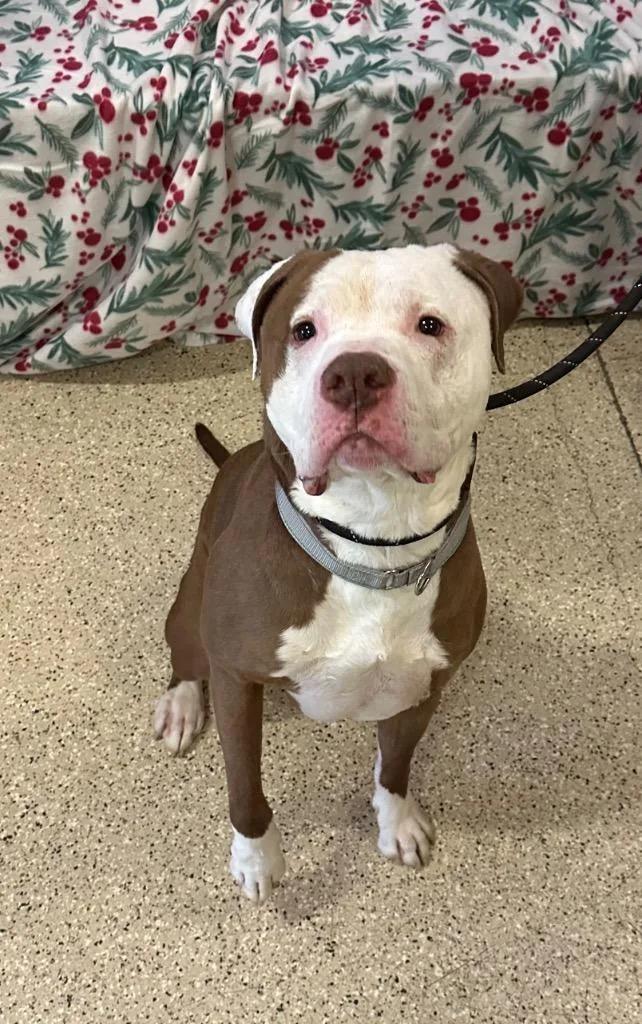 Gronk  Sponsored By thumbnail 2