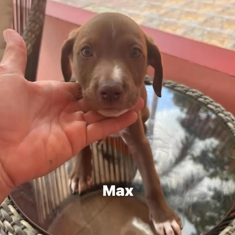 Max thumbnail 3