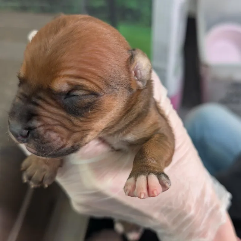 Marnie thumbnail 2