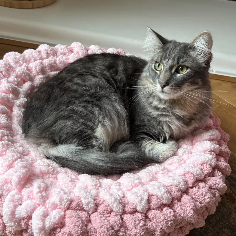 Lilac And Jonquil Indoor