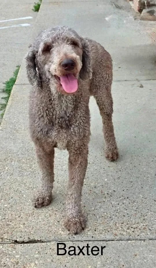 Baxter KW in RI