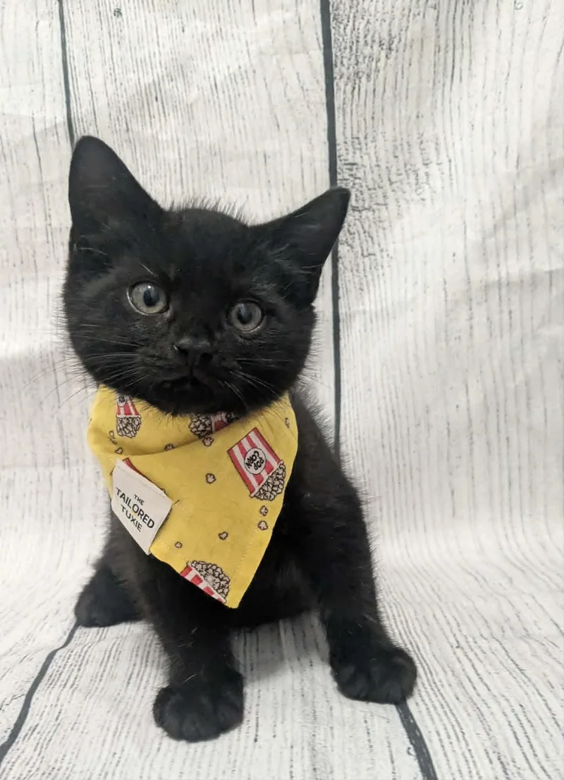 Baby Dewey thumbnail 2