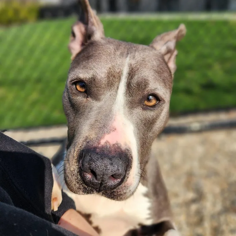 Samantha Stevens thumbnail 2