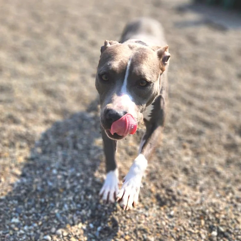 Samantha Stevens thumbnail 3