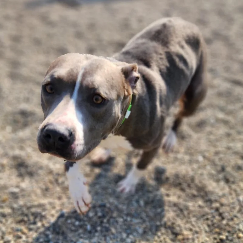 Samantha Stevens thumbnail 4