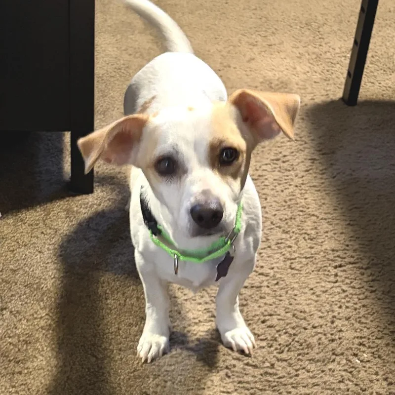 Coco