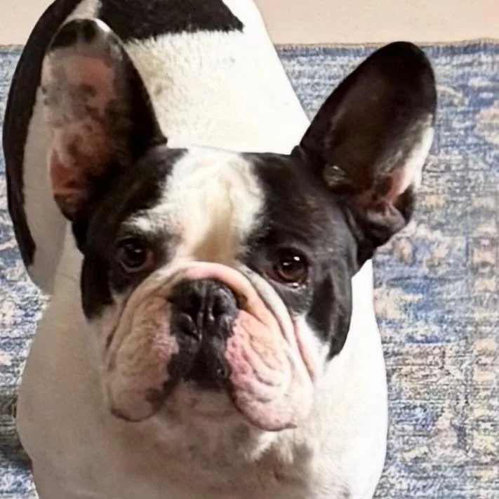 Barkthalomew