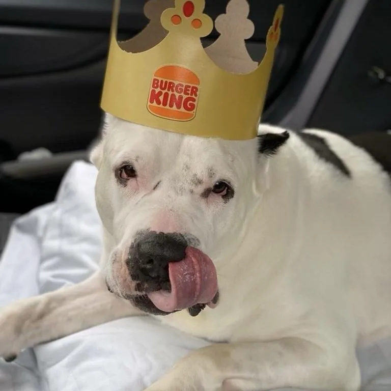 Burger thumbnail 2