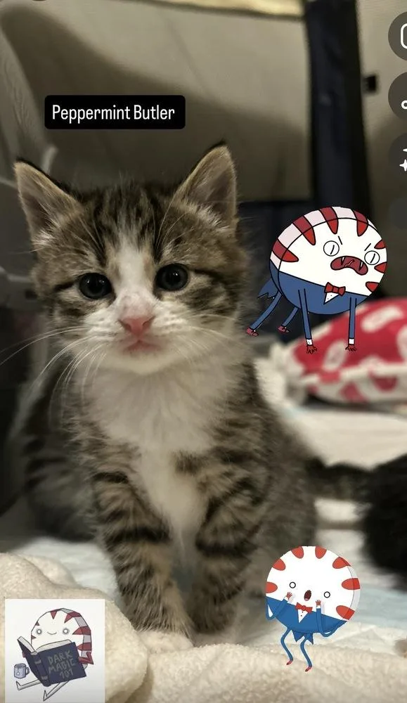 Peppermint Butler