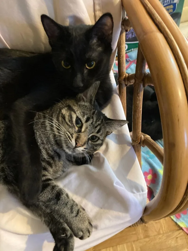 Crystal Lucy thumbnail 2