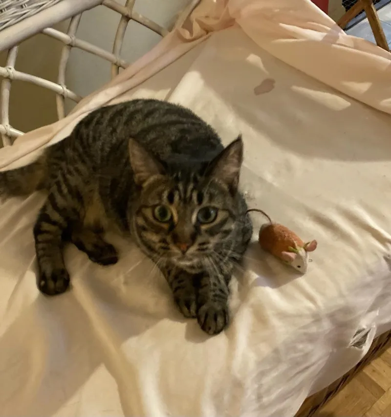 Crystal Lucy thumbnail 3