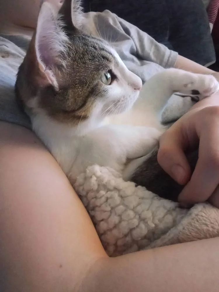 Pandora’s Box: Elpis thumbnail 6