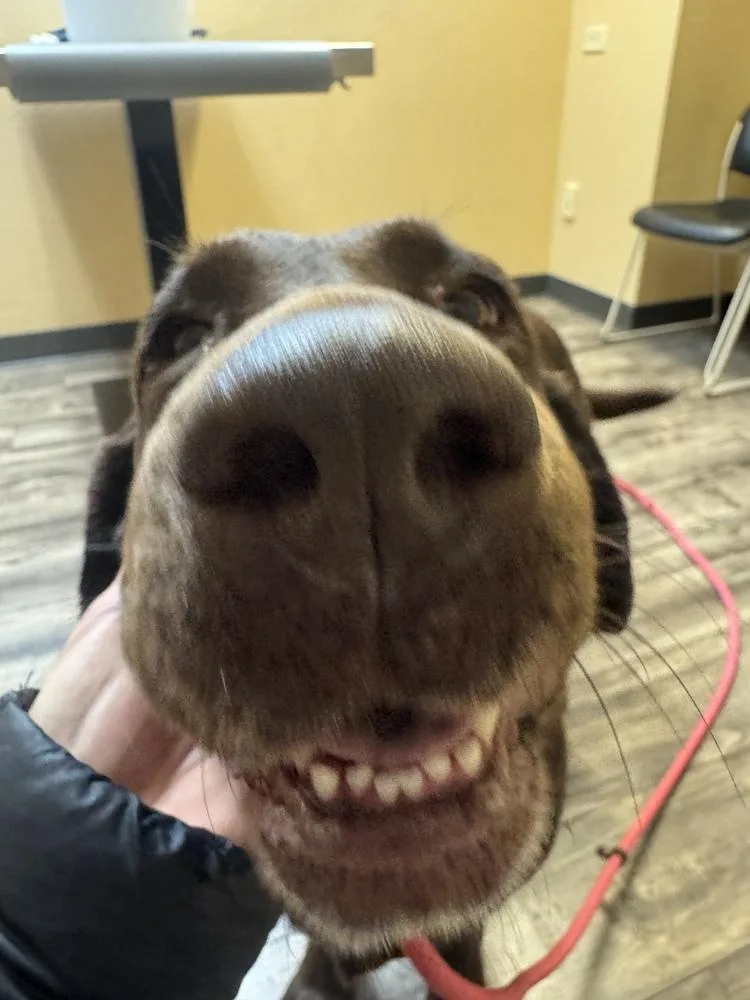 Bordeleau  Bonnie thumbnail 3