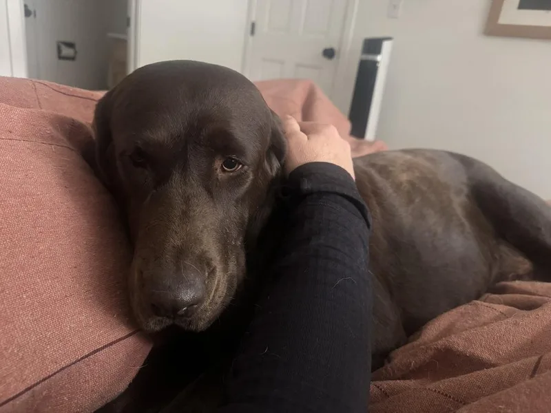 Bordeleau  Bonnie thumbnail 4