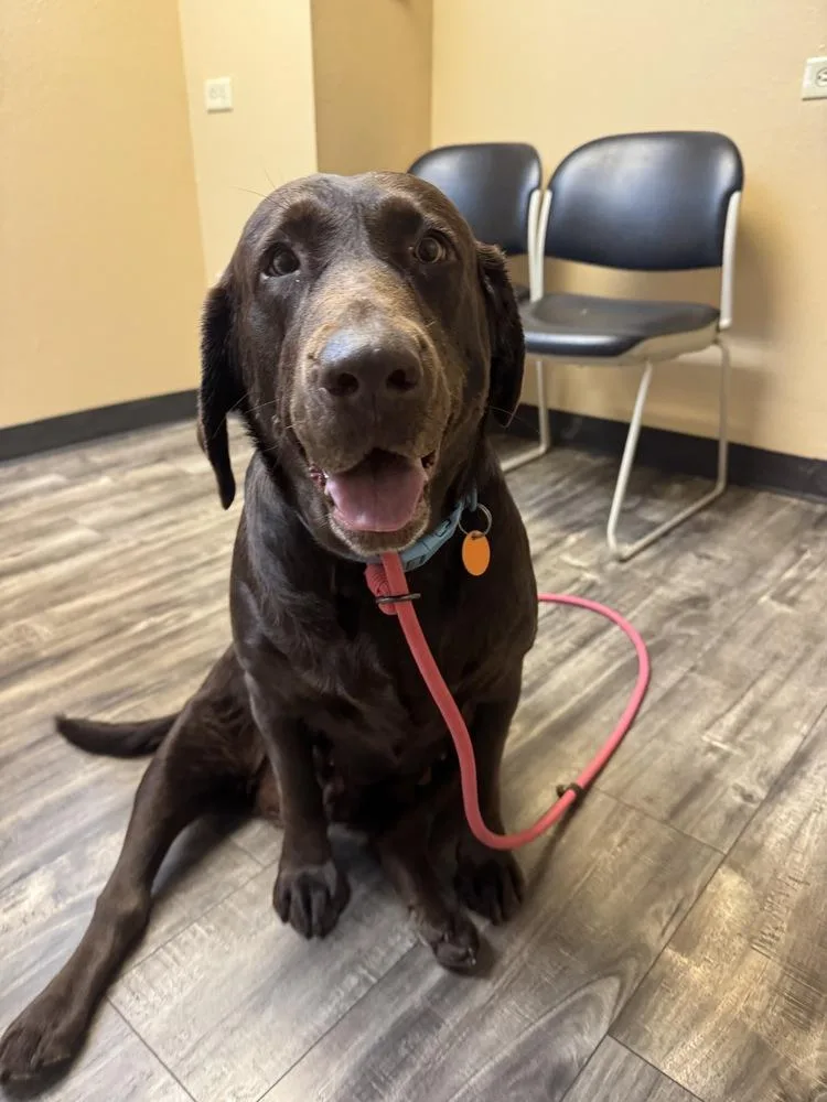 Bordeleau  Bonnie thumbnail 6