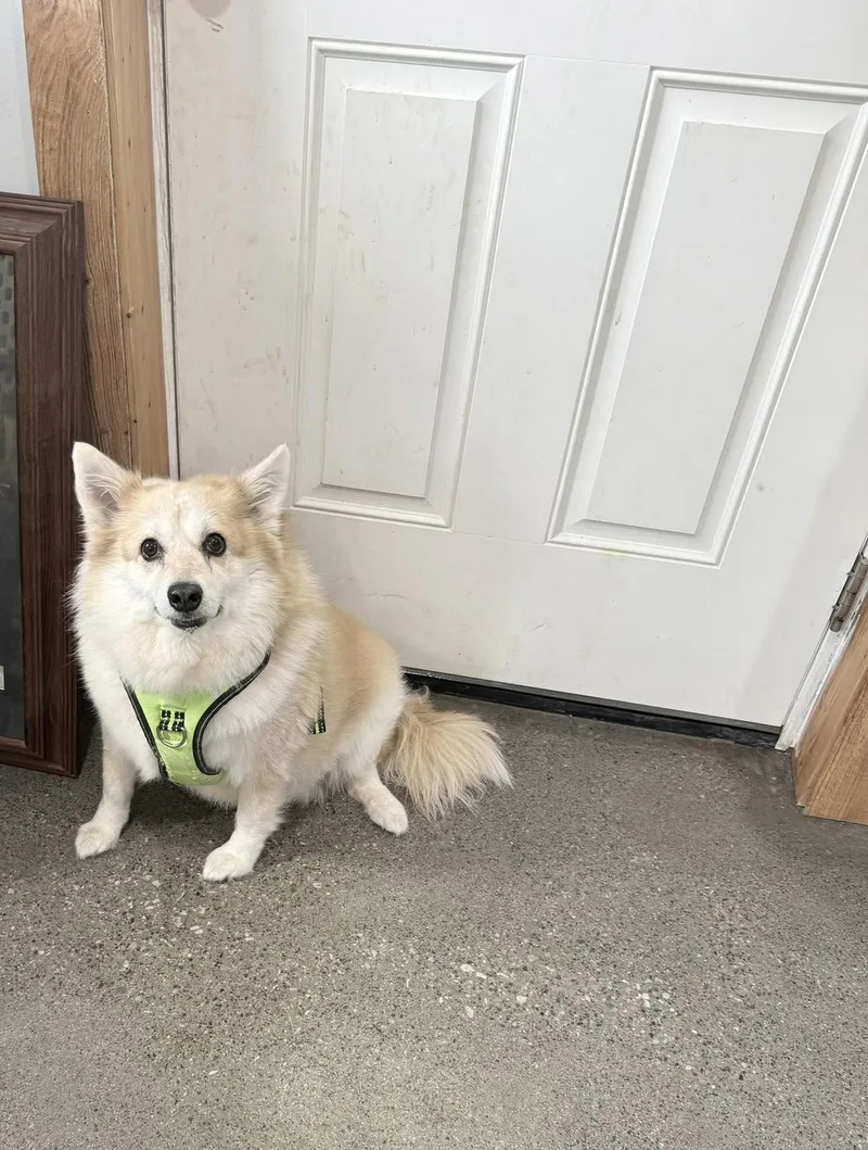 Ellie Mae