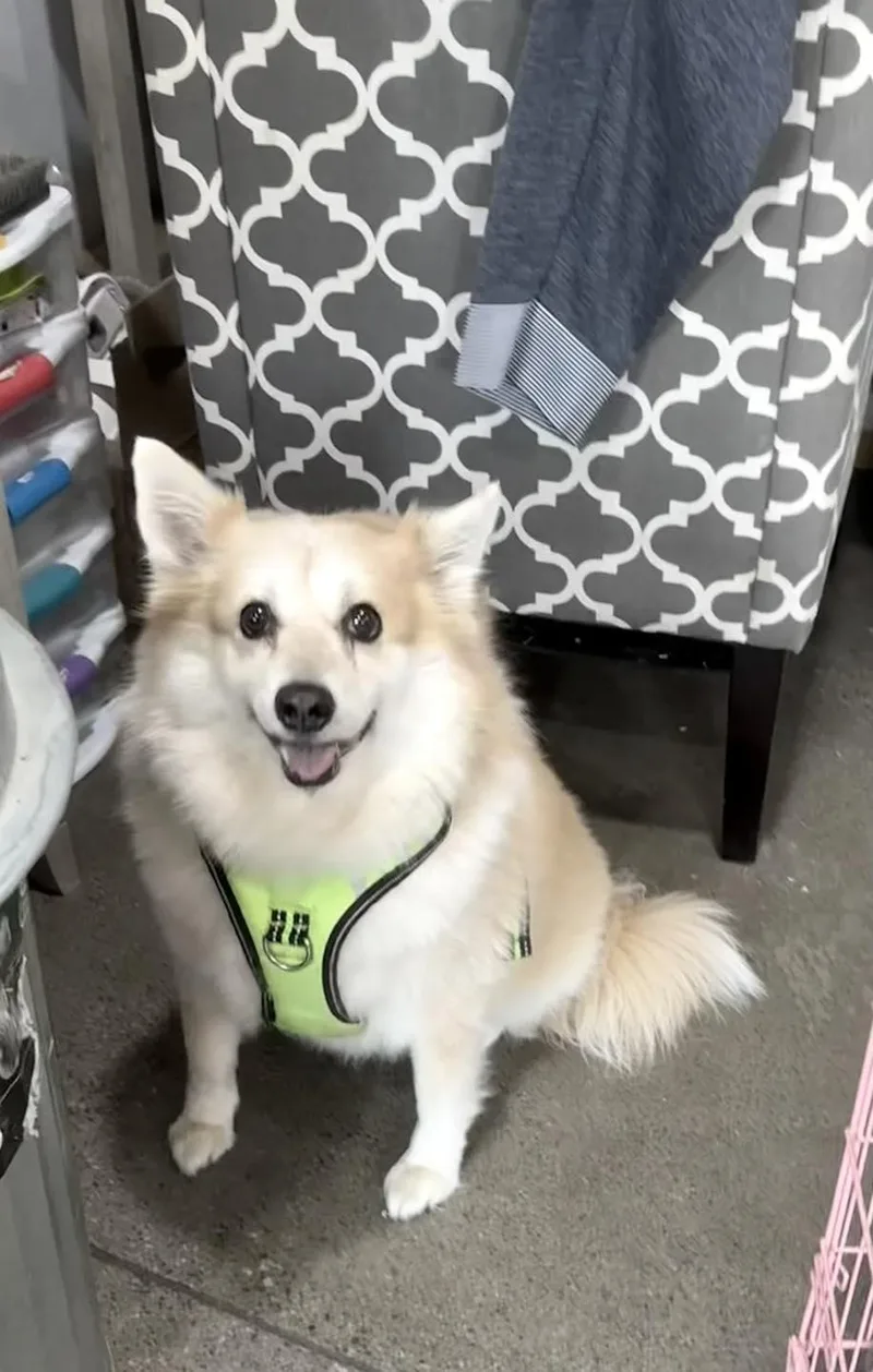 Ellie Mae thumbnail 2