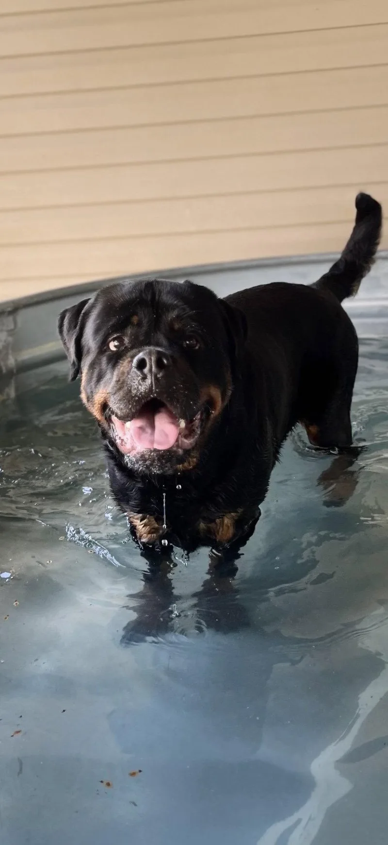 Big Poppa thumbnail 3