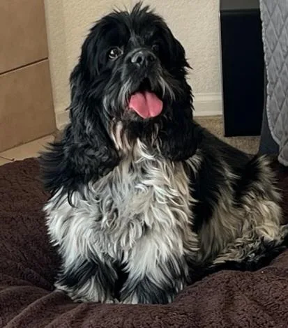 Jackson C thumbnail 2