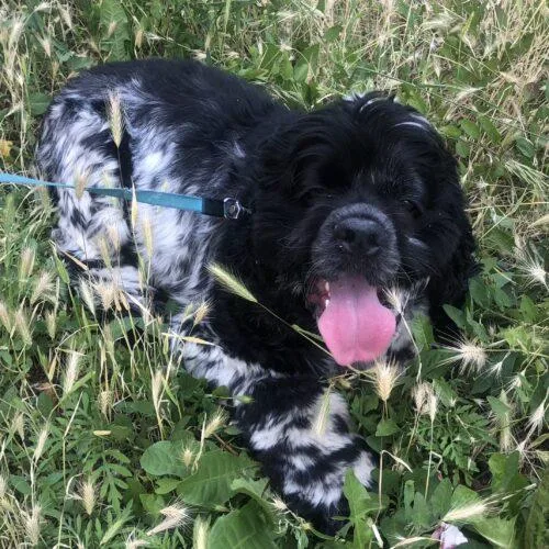 Jackson C thumbnail 4