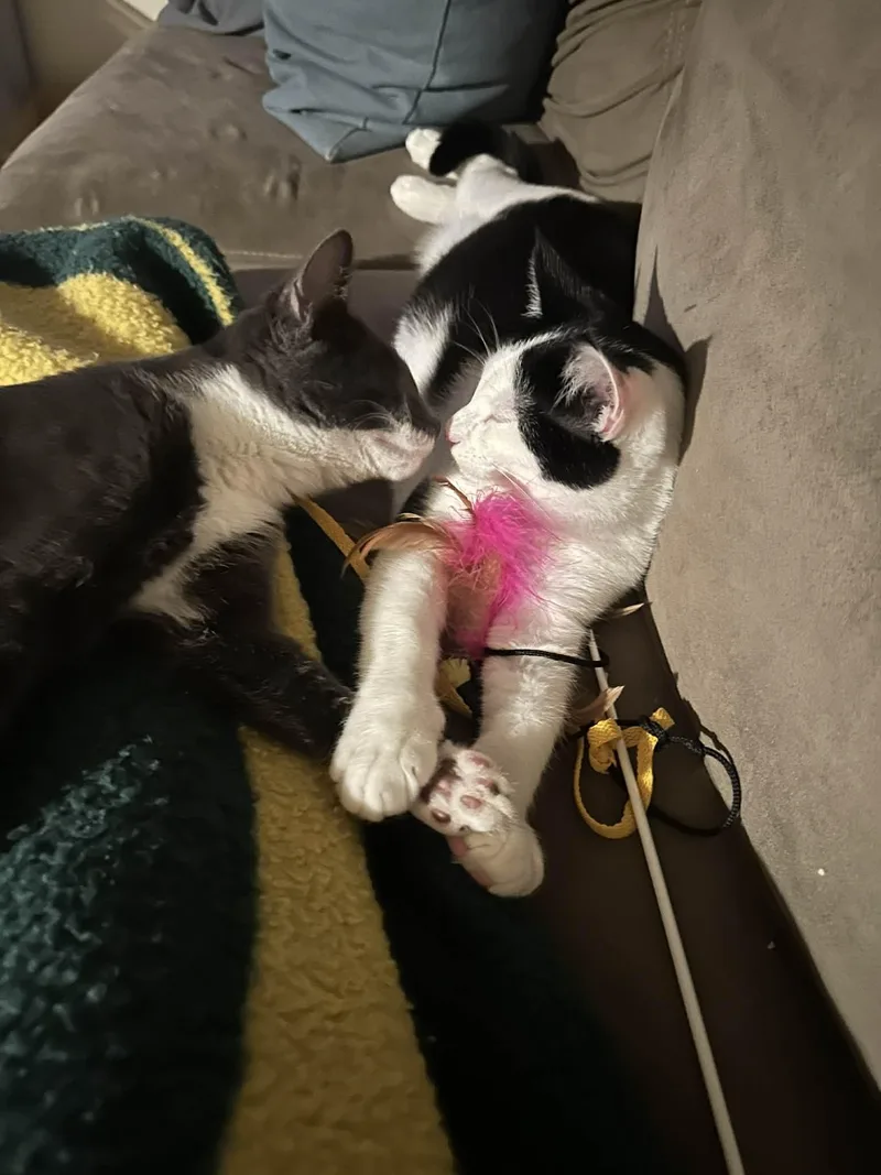 Boots And Mandy thumbnail 2