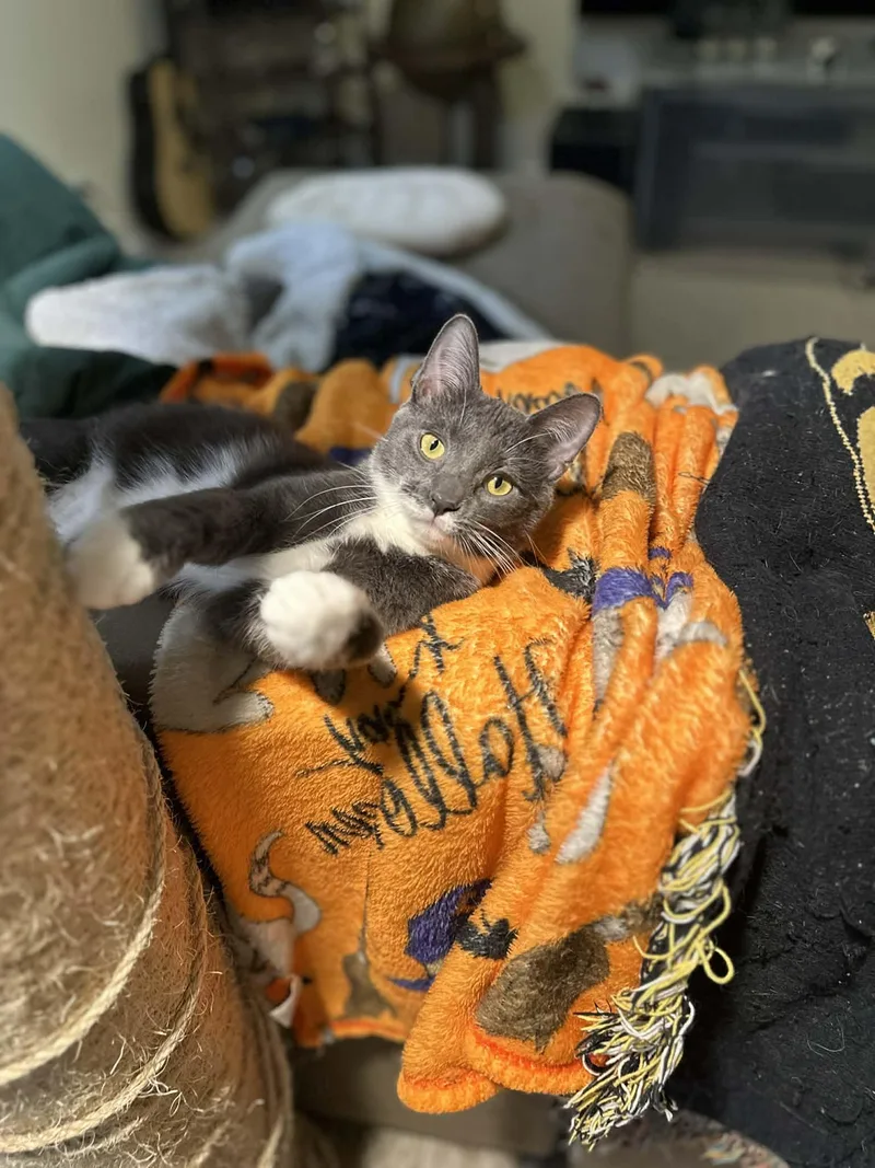 Boots And Mandy thumbnail 3