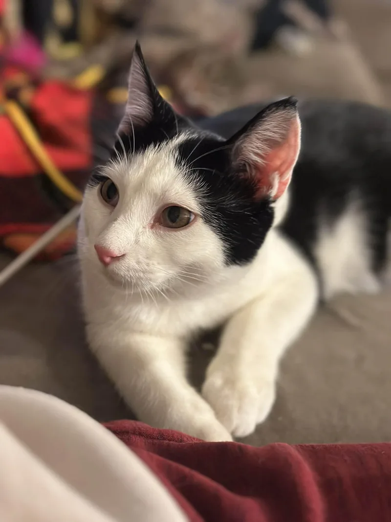 Boots And Mandy thumbnail 4