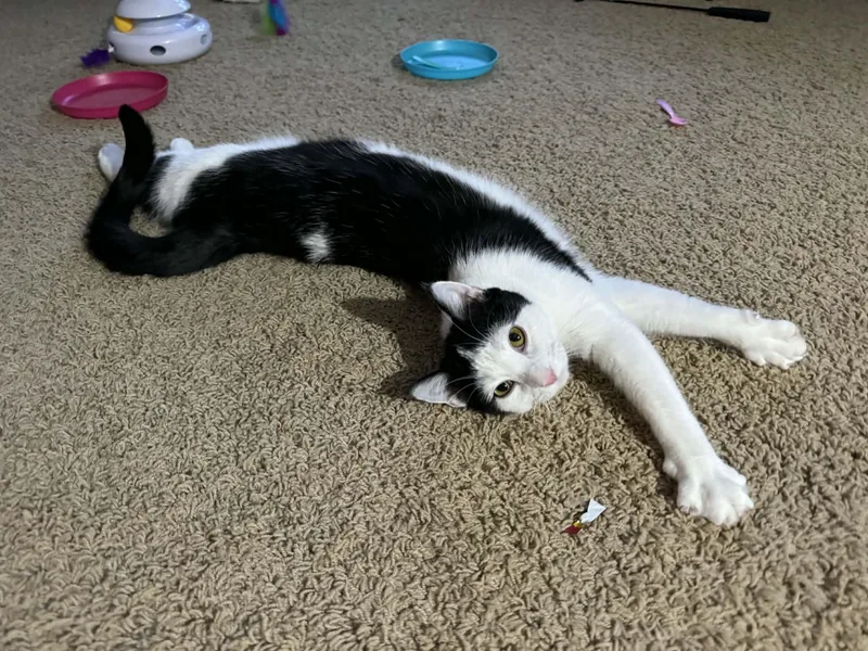 Boots And Mandy thumbnail 5