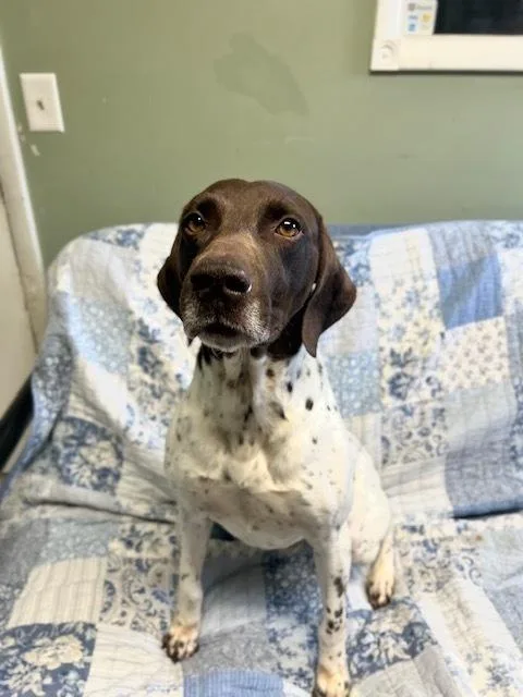 John Wayne thumbnail 2