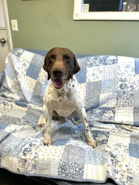 John Wayne thumbnail 3