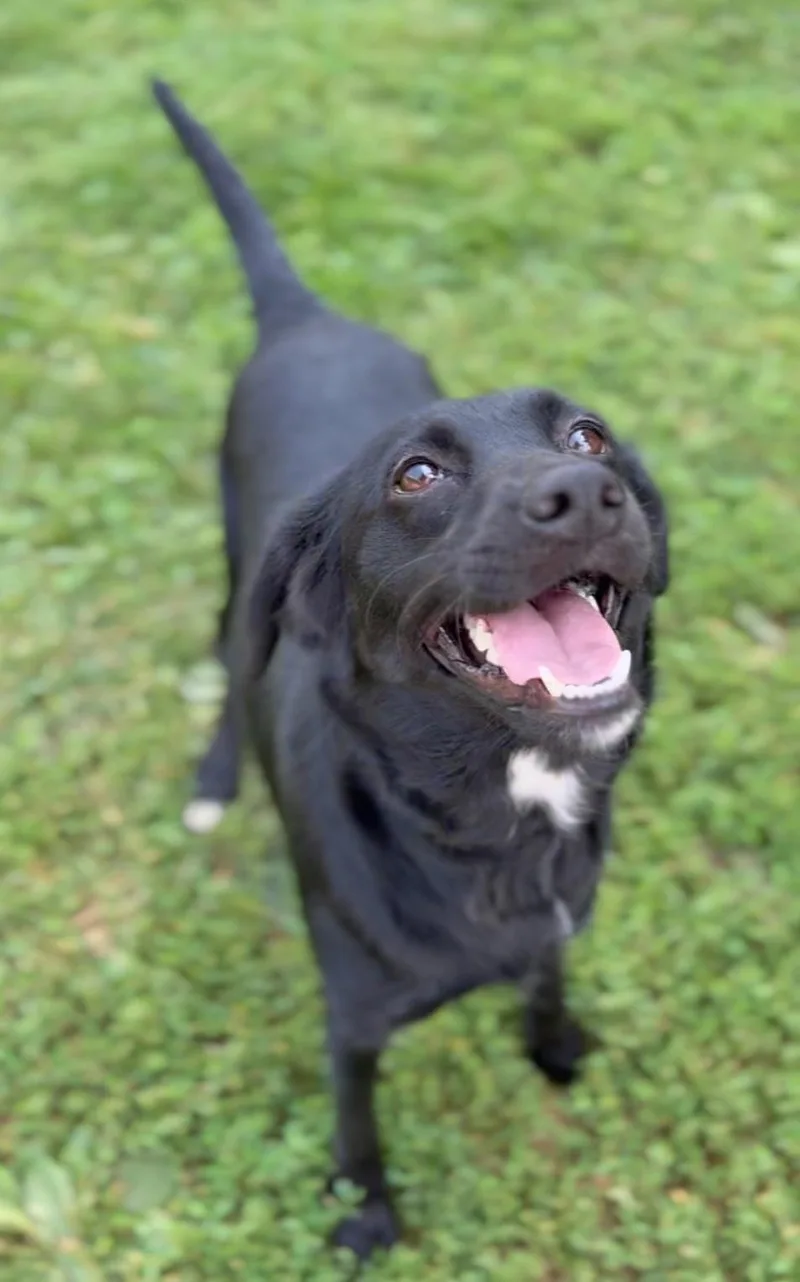 Bella thumbnail 2