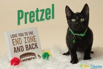 Pretzel thumbnail 2