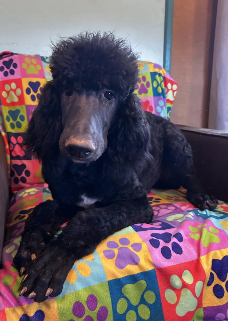 Jesse Mar thumbnail 2