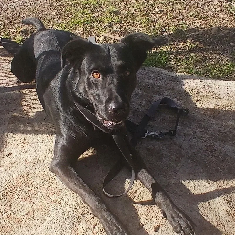 Nova Cora thumbnail 2