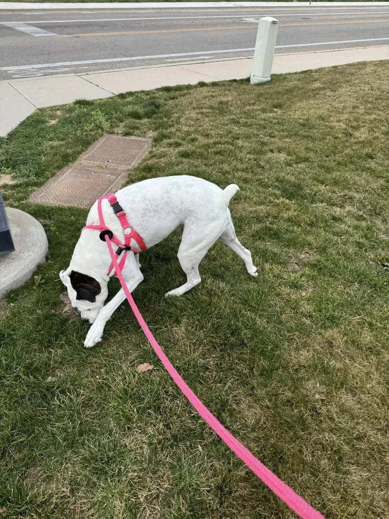 Sparkles thumbnail 4