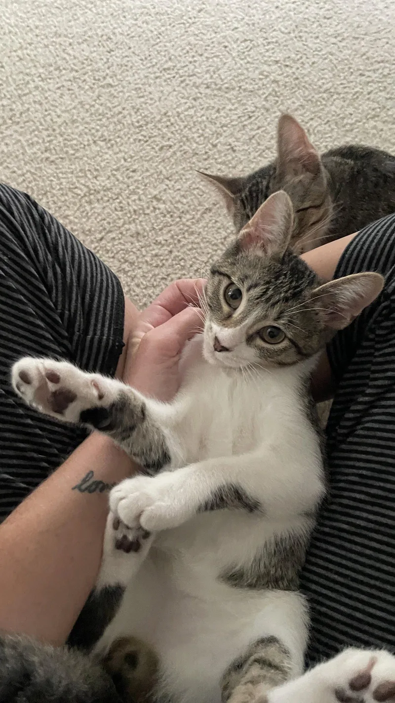 Mr. Snuggles thumbnail 2