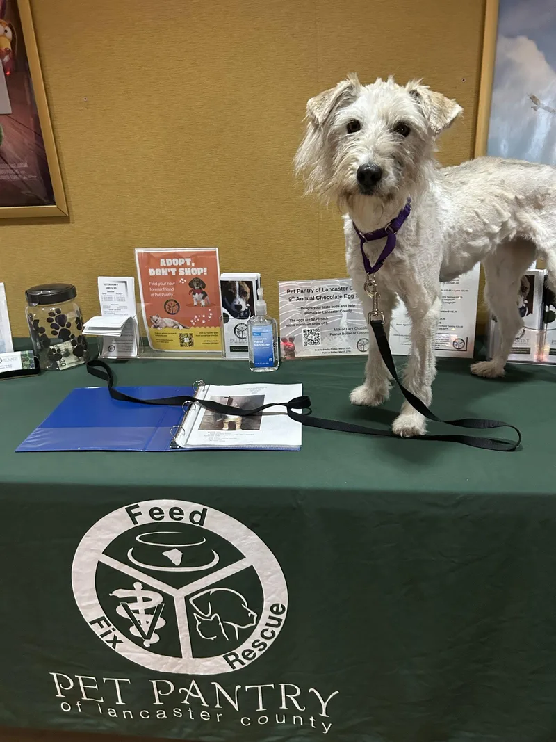 Snickers thumbnail 2