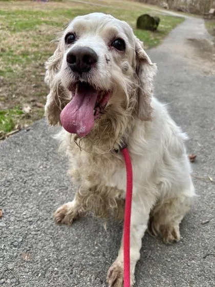 Benjamin thumbnail 2