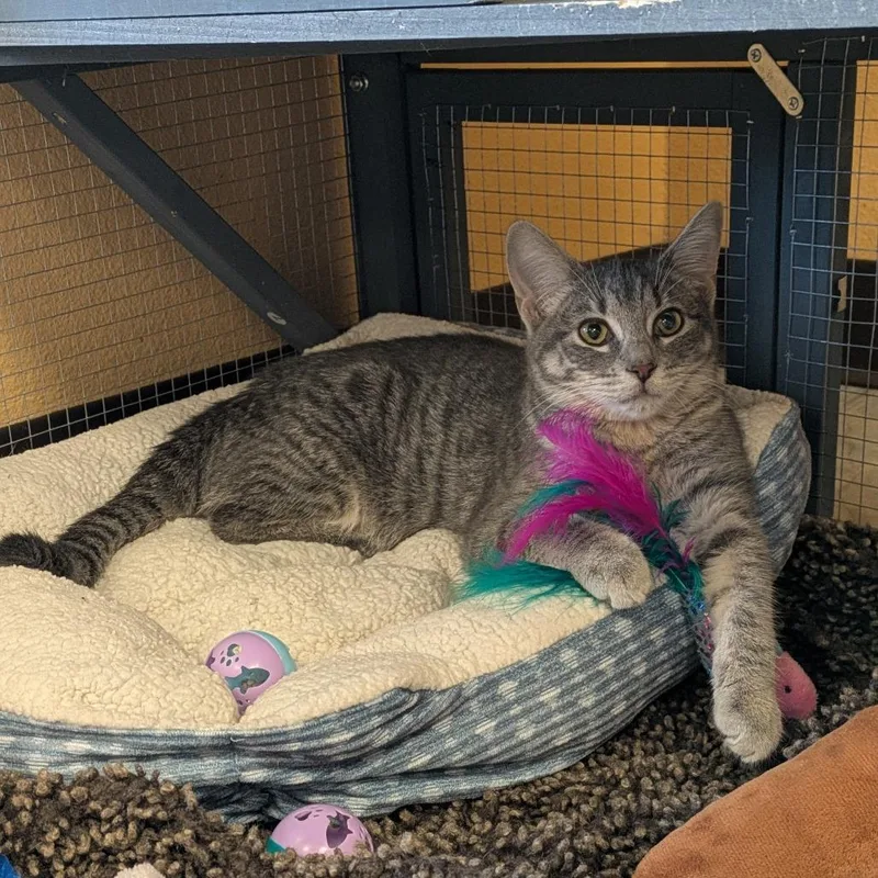 Melba Kay thumbnail 3