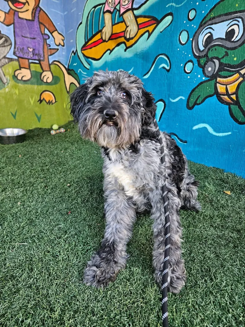 Benny