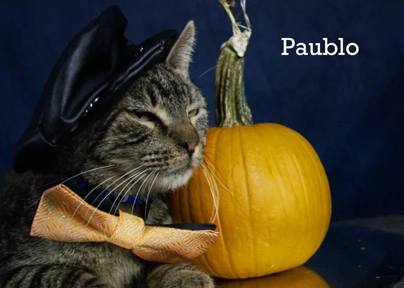 Paublo thumbnail 2