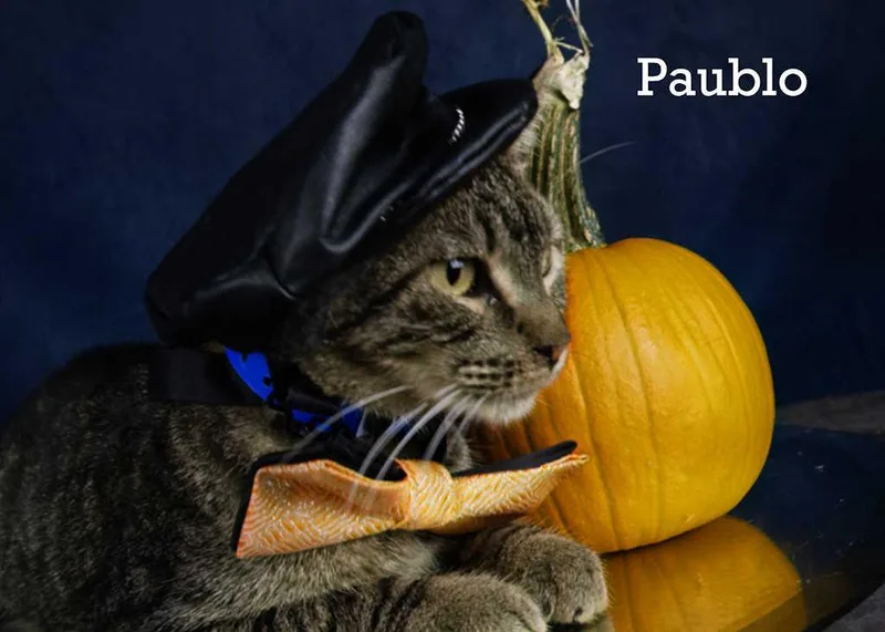 Paublo thumbnail 4