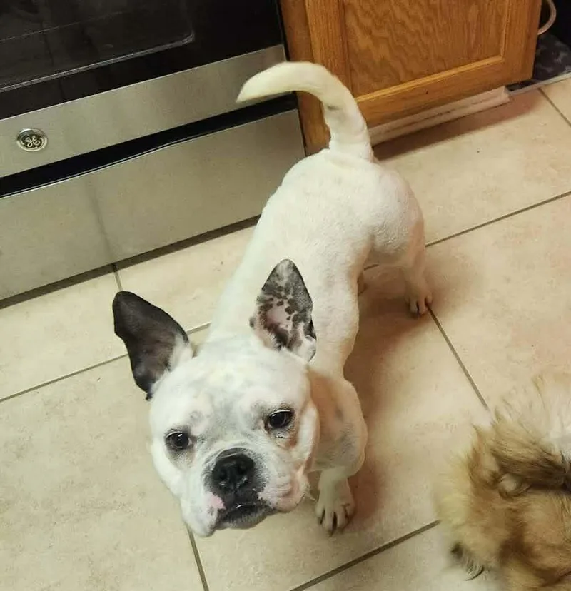 Jasmine Jc In Ms thumbnail 3