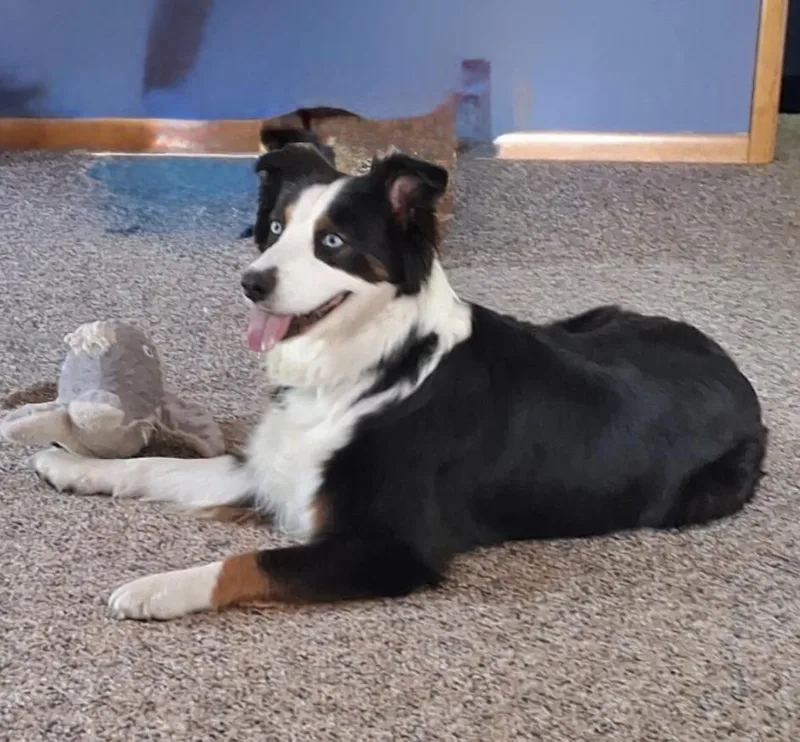 Lilly thumbnail 4