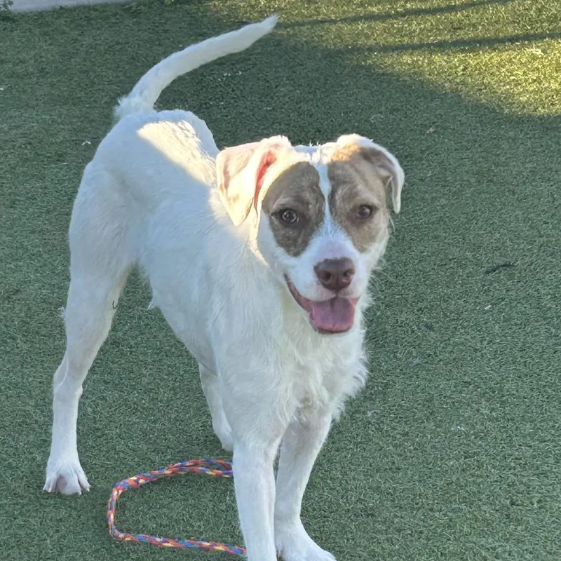 Princess thumbnail 2