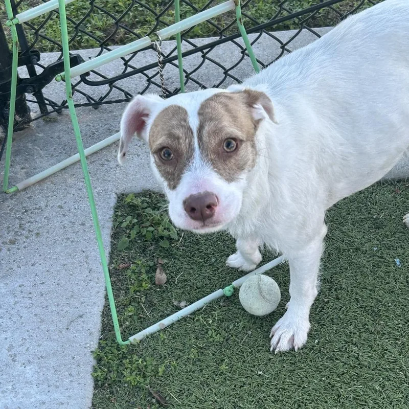 Princess thumbnail 3