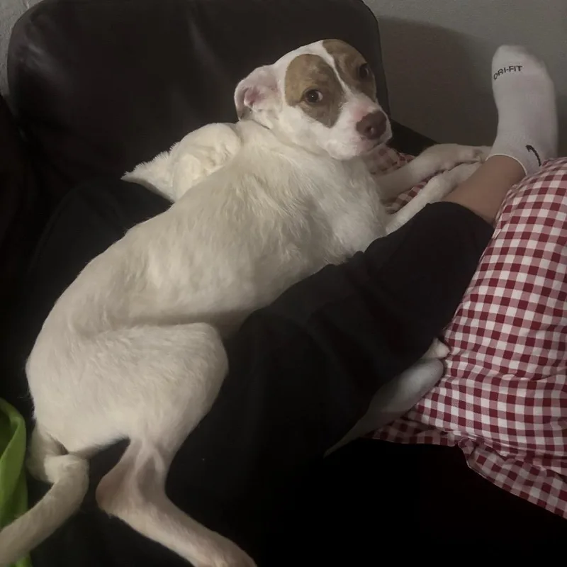 Princess thumbnail 4