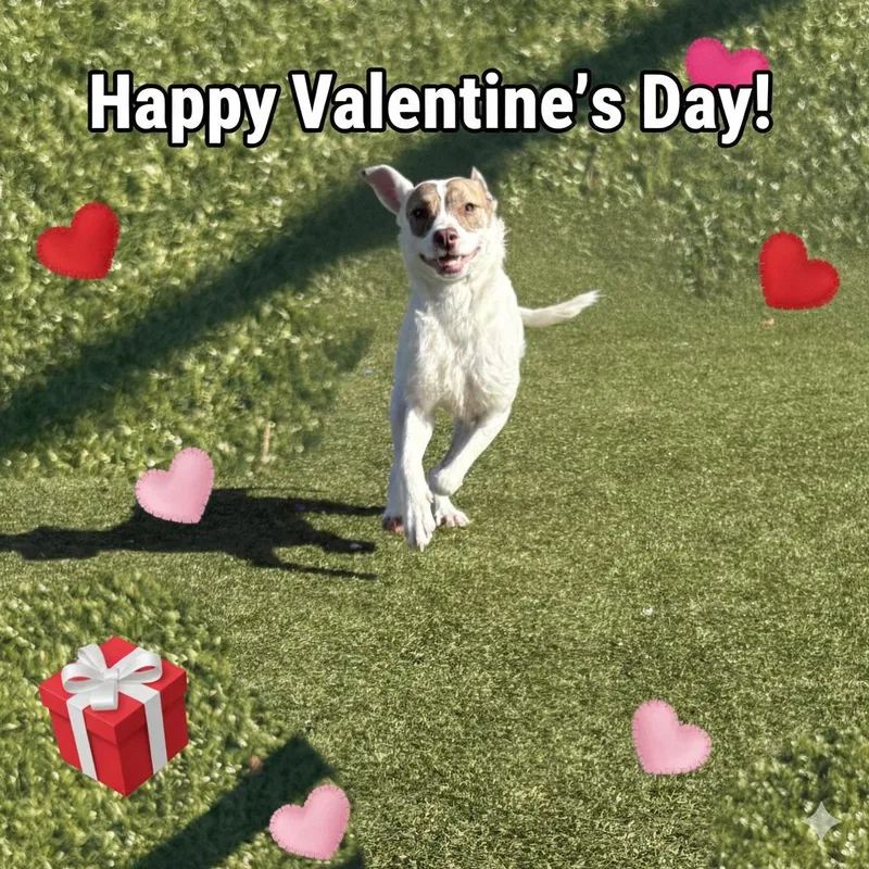 Princess thumbnail 5