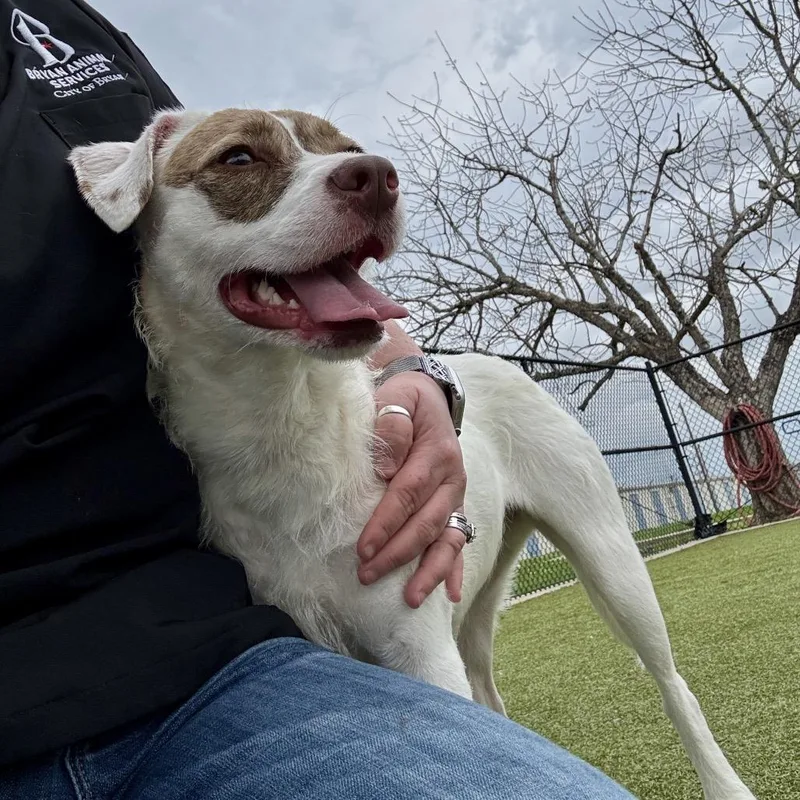 Princess thumbnail 6